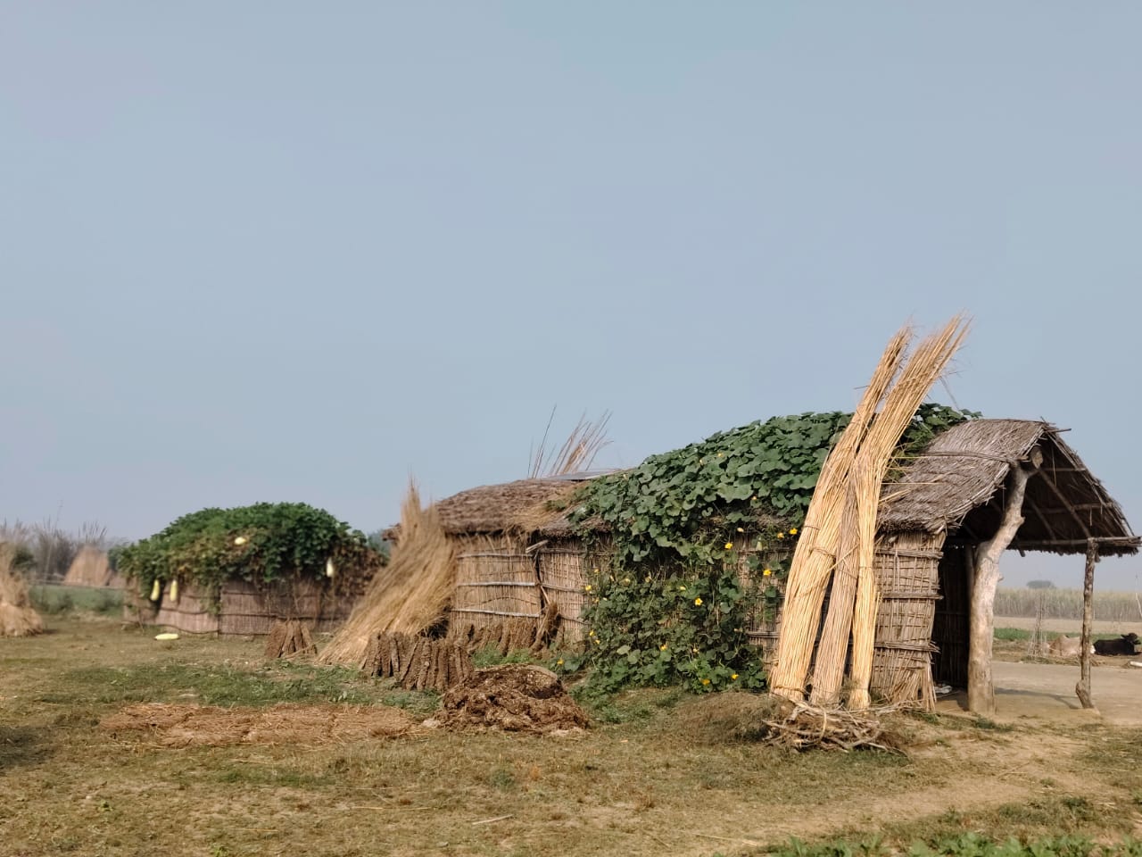 Kutcha House of Ram Kumari situated on the banks of Ghaghra